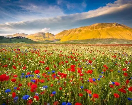 Agriturismo Monte Veletta * Castelluccio (Umbria)