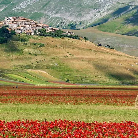 Çiftlik konaklama Agriturismo Monte Veletta